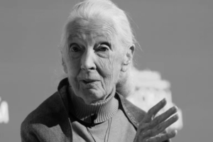 Jane Goodall